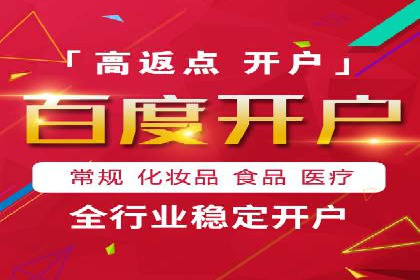 百度竞价成功案例解析